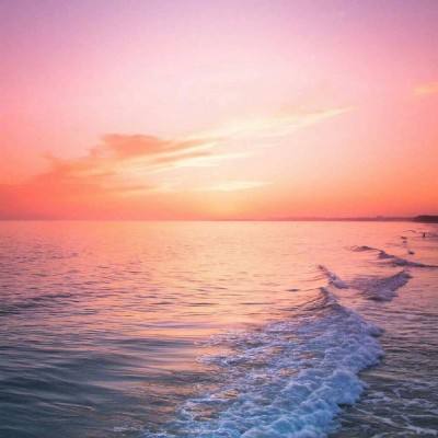 半岛手机网页版